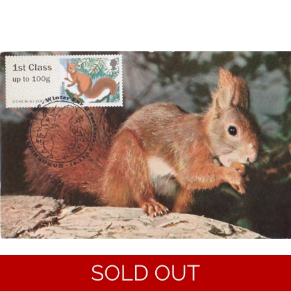 3778x5 Red Squirrel Maximum Card